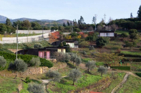 Ecofurtado